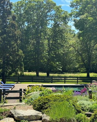 Swimming pool with lounge chairs on wooden deck, surrounded by flowering gardens and wooden fencing, with mature trees in background