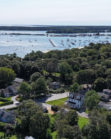 Aerial view of coastal neighborhood with houses, trees, and sailboats anchored in bay