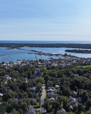 Aerial view of coastal town with tree-lined streets, harbor filled with sailboats, and forested islands beyond
