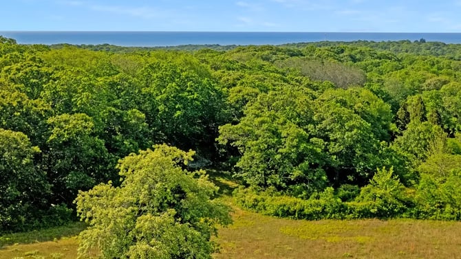 Chilmark MA Real Estate for Sale